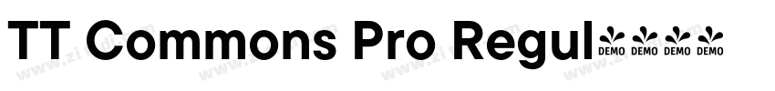 TT Commons Pro Regul字体转换 TT Commons Pro Regul字体转换